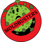 Mold Busters Dallas